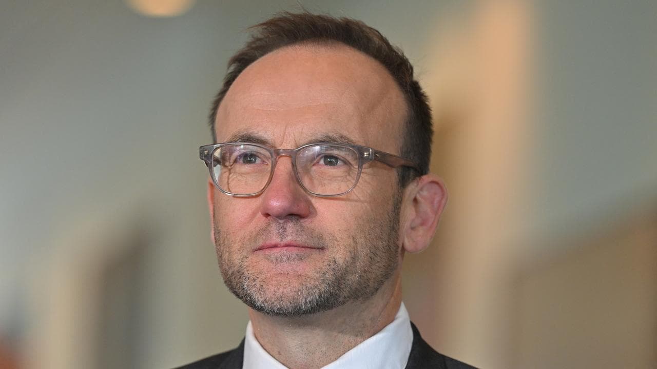 Former Greens leader reveals new role after politics