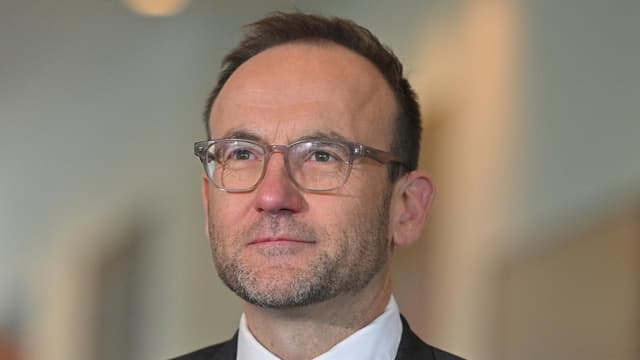 Former Greens leader reveals new role after politics