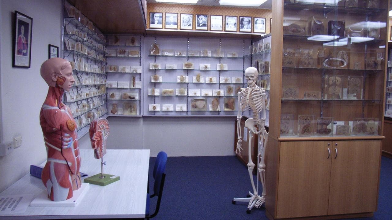 Museum kept and displayed human remains without consent