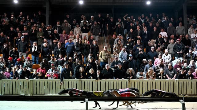 Dapto gone to the dogs as greyhound venue runs its race