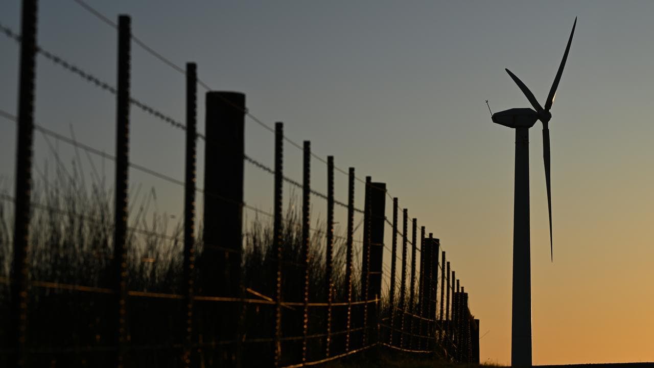 Plan to protect threatened species in energy transition