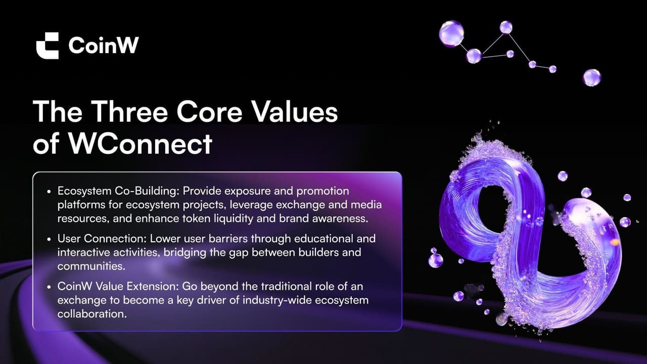 Cross-Ecosystem Co-Building: WConnect as a New Platform for Web3 Synergy