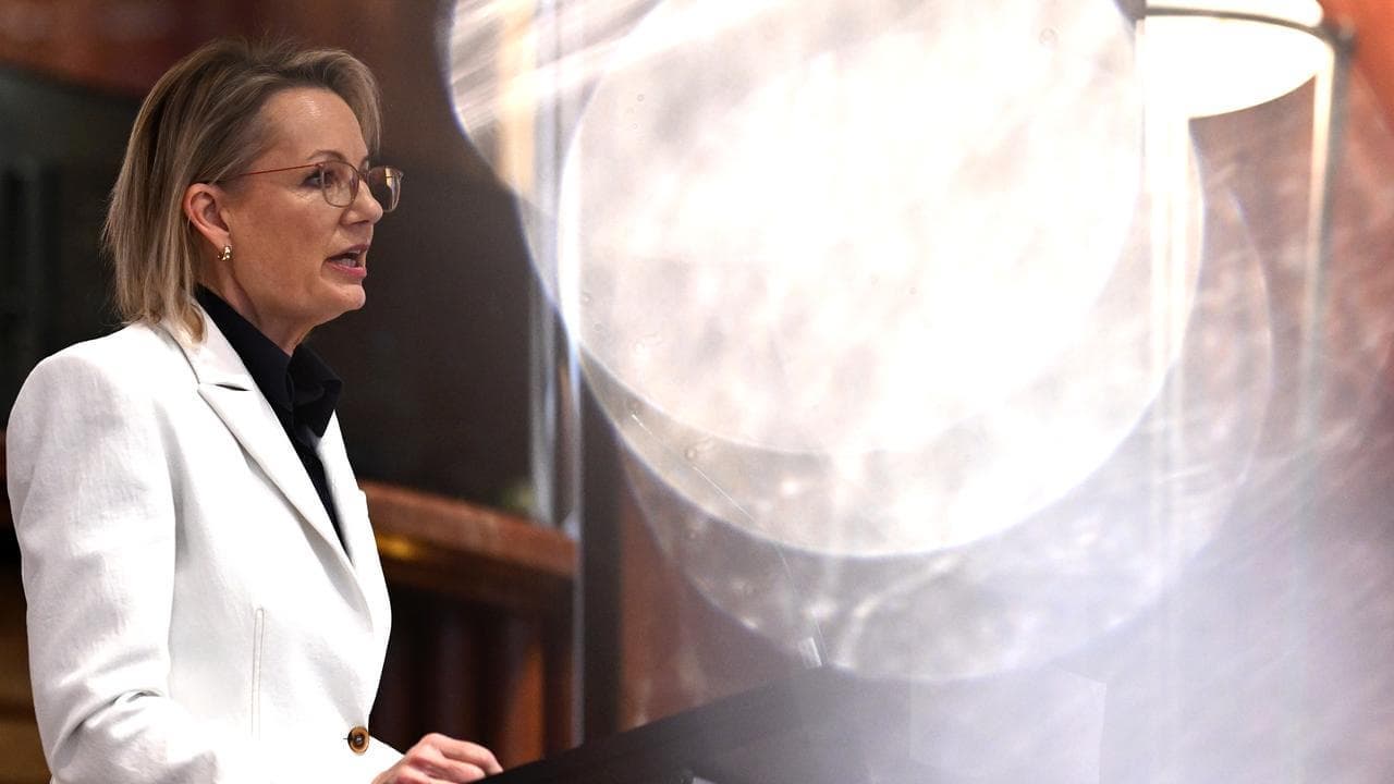 'Looks too high': net zero spotlight on Liberal leader