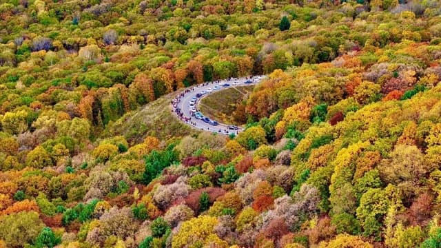 The Right Season for Colorful Mountains•2025 Autumn Special Cultural Tourism Press Conference Kicked off in Yichun, Heilongjiang Province