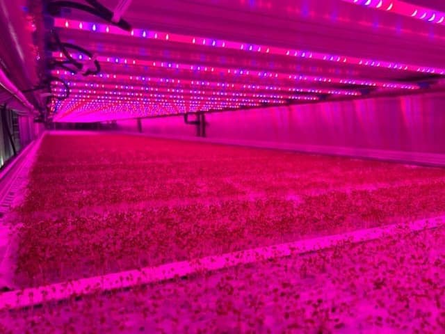 Raiven Capital (Dubai) Invests in Vertical Harvest to Advance Global Food Resilience