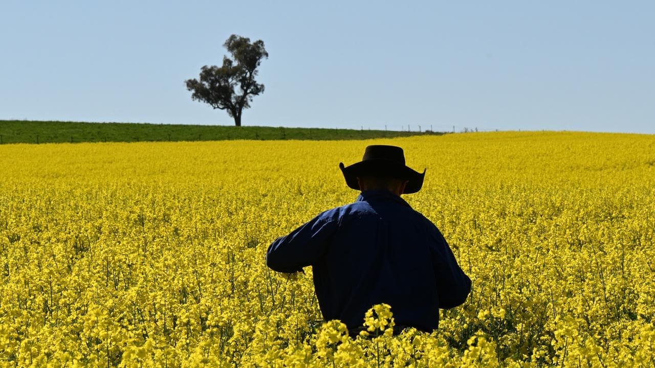 Farming export success sows seeds of growth goal reset