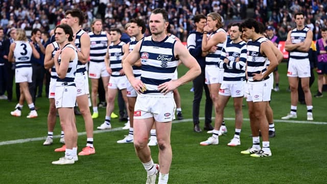Cats need to 'sit' in GF disappointment: Dangerfield
