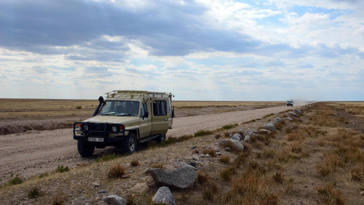 No, Toyota LandCruisers haven’t been driven out of Australia