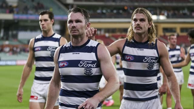 We're sorry: Cats set to ditch Mad Monday shenanigans