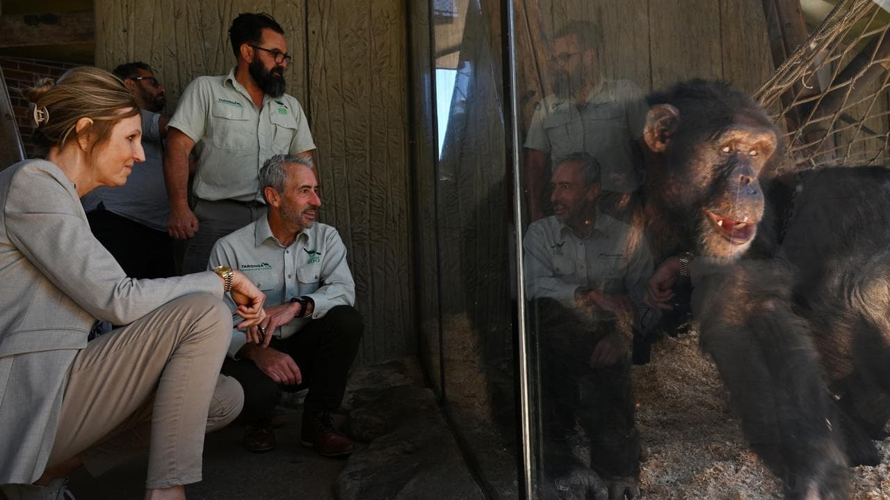 'Once in a century human': Jane Goodall's Aussie mark