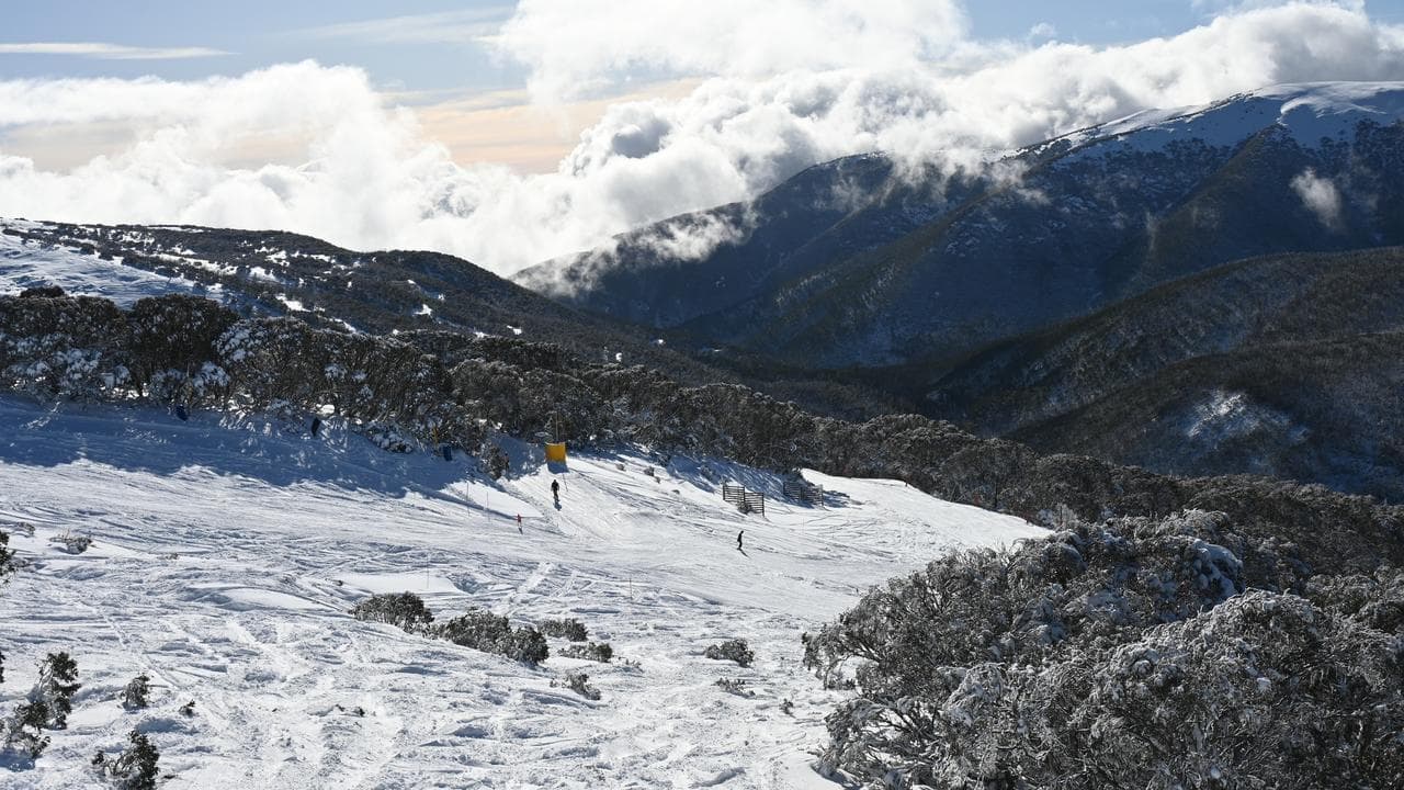 Recovery mission: bodies found in remote alpine region