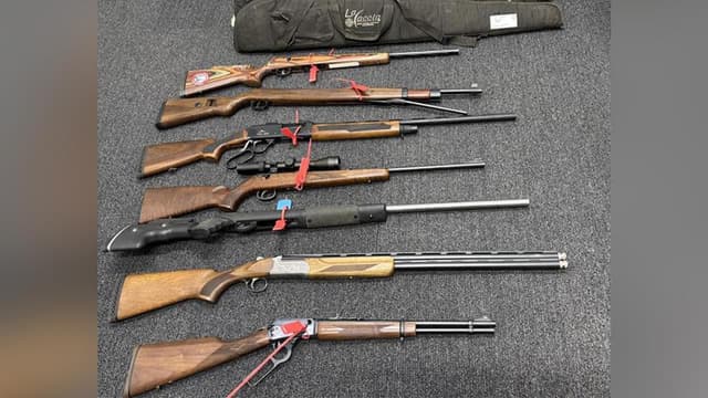 Sovereign citizens 'not above the law' as guns seized