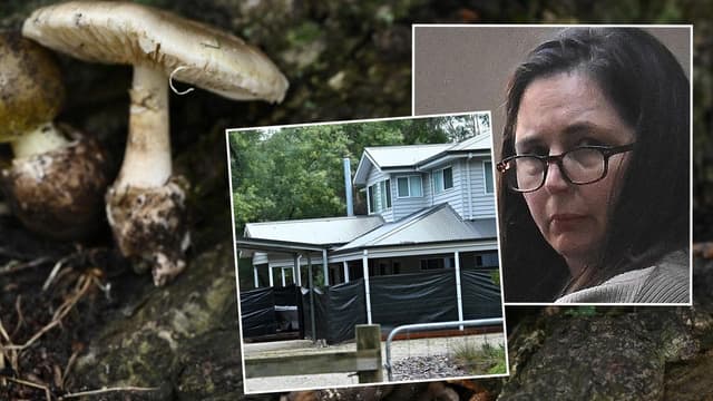 Why prosecutors are appealing Erin Patterson's sentence