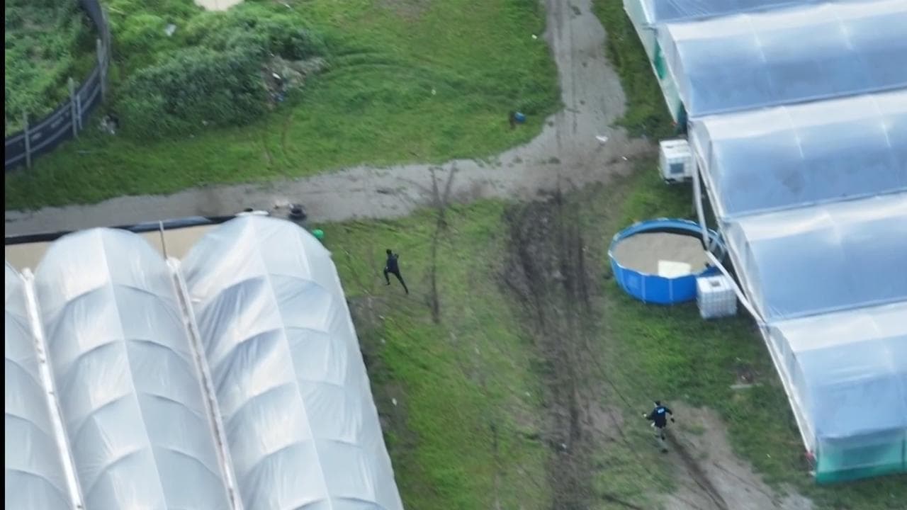 Drug crop worth $15m found in gardening igloos