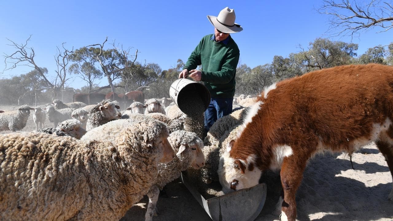 NZ's bold pledge to reduce methane emissions by 2050