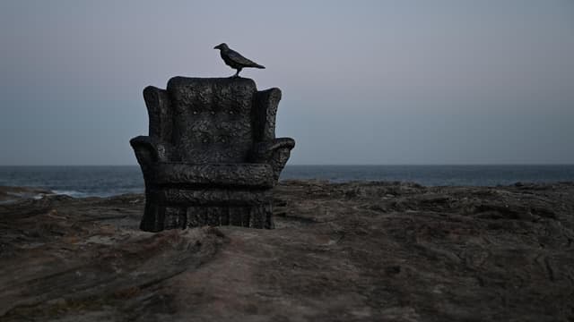 Sculpture by the Sea's plea to stay afloat after crisis