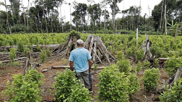 Colombian president a 'drug leader', says Trump