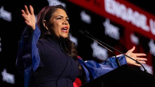 'Mud sticks': land council boss hurt by senator claims