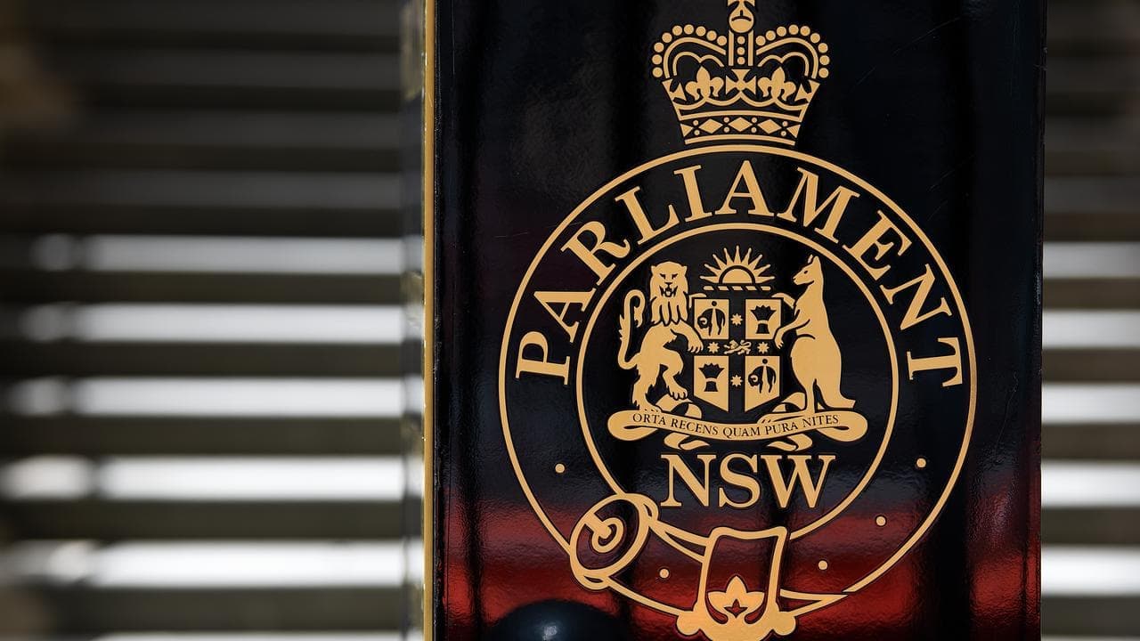 'Sword' could help millions act on human rights