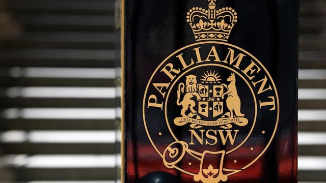 'Sword' could help millions act on human rights