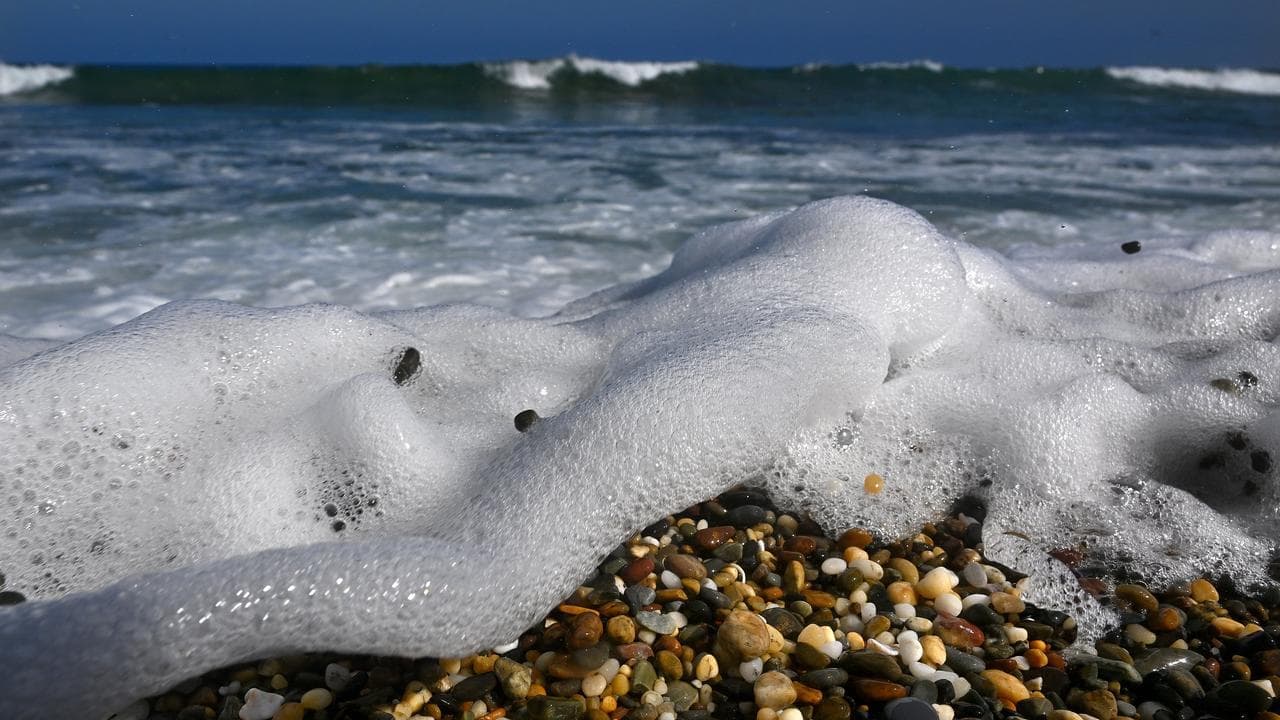 Nature reforms all at sea as Libs, Greens play hardball