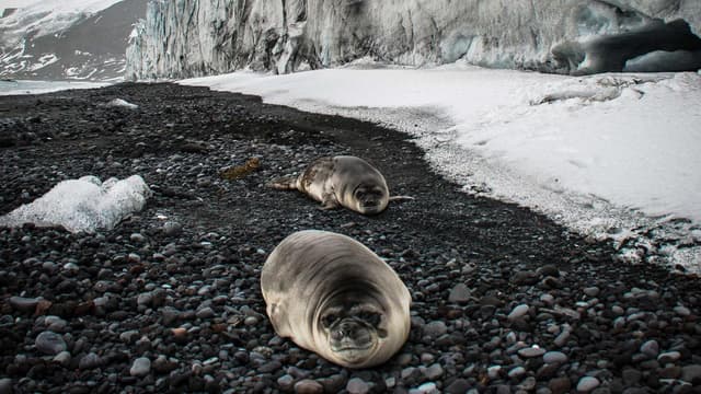 Fears of deadly flu spread on remote Australian island