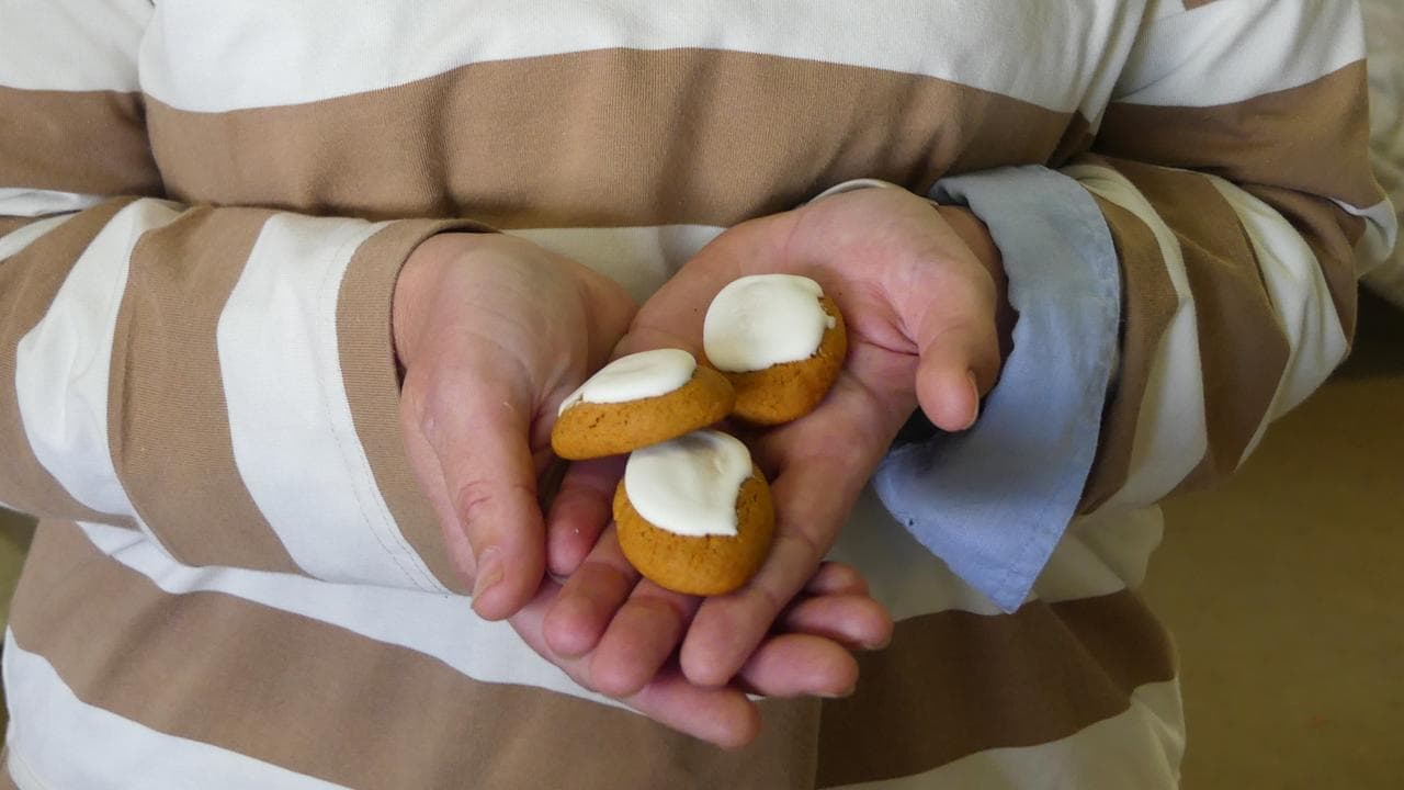 How the honey jumble avoids extinction in the bush