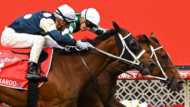 Waller's Cox Plate 'bonus' as Via Sistina defends crown