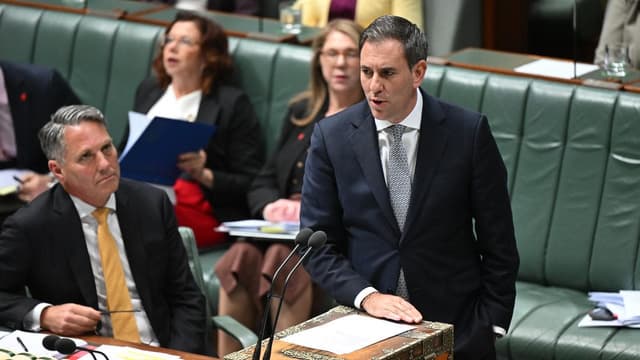 Treasurer hits back as opposition slaps panic button