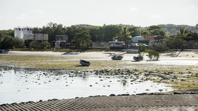 Golden eye on northern island after spot price surge