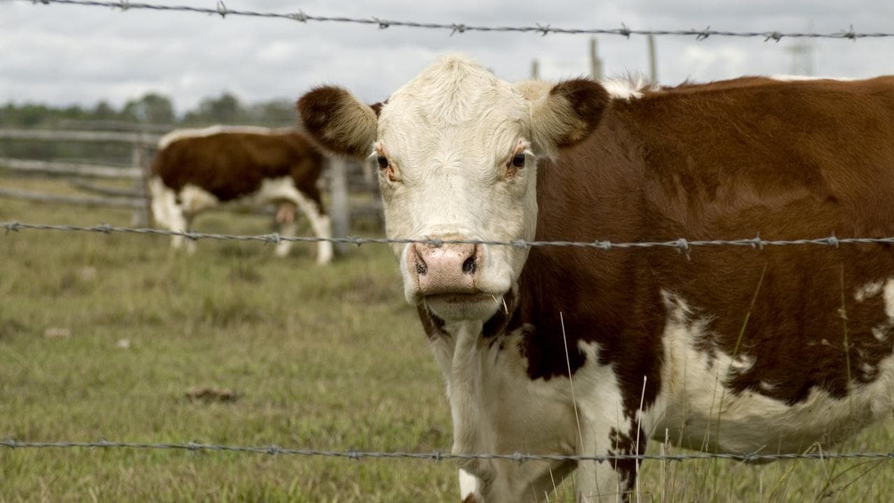China farmland ownership map is way off the mark