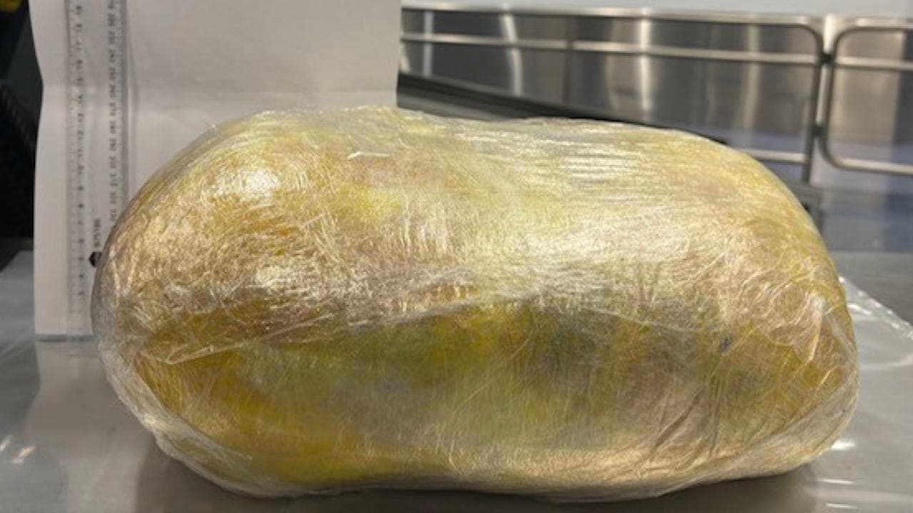 Dodgy traveller admits to having large package in pants