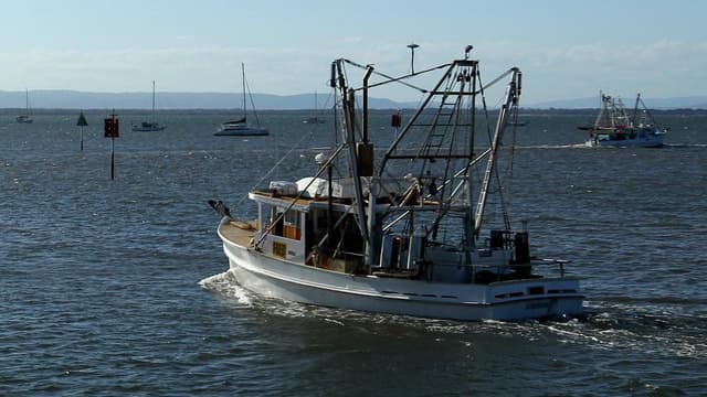 Insurance woes and warming oceans no fisherman's friend