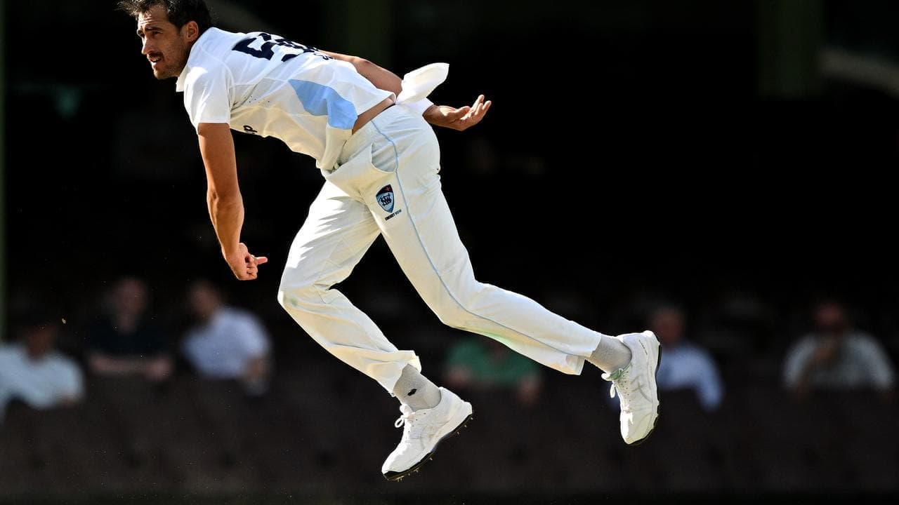 Starc tells curators to back themselves and go green