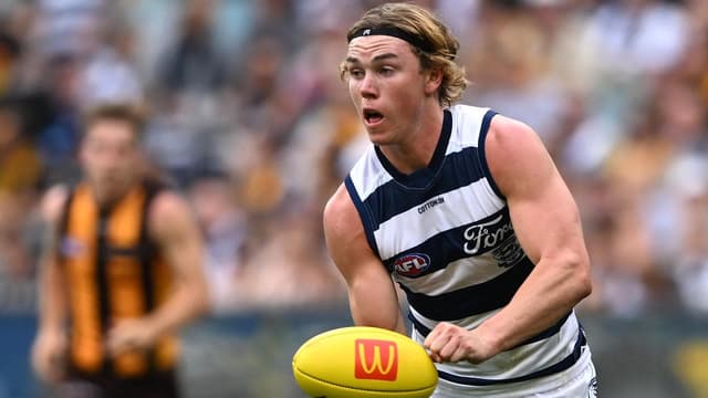 Cats gun was banned by AFL despite no stand-down policy