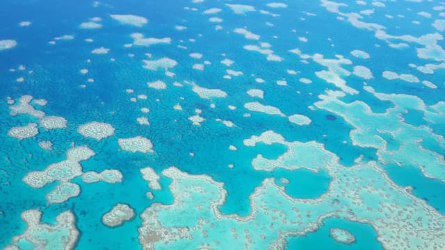 Legal loopholes threaten reef, ex-Treasury boss warns