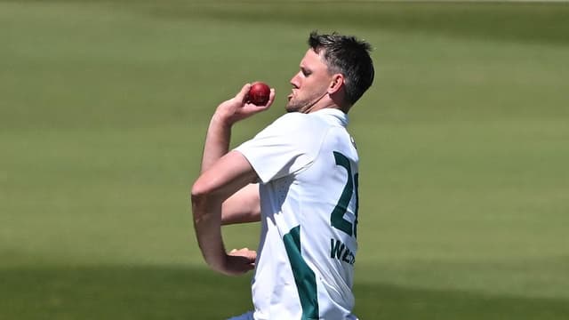 Webster stars but Tassie go down to SA in Shield