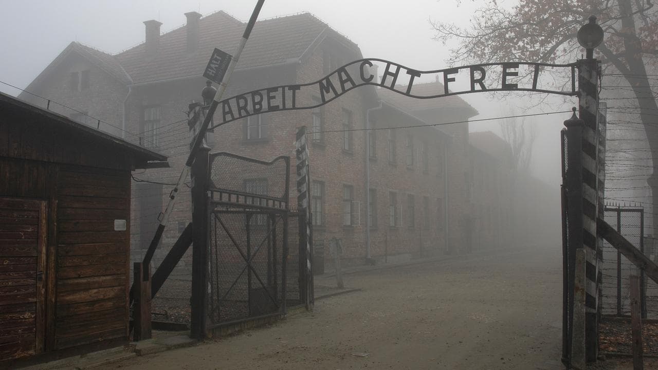 False claim twists truth about Auschwitz death numbers
