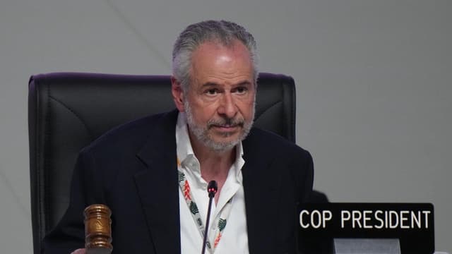 COP30 reaches compromise deal, sidesteps fossil fuels
