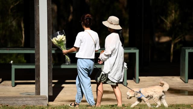 'I stabbed another boy': teenage accused killer's words