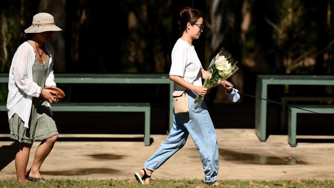 Teen accused of 'active role' in fatal park stabbing