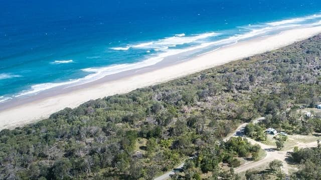 Woman dead but man heroically saved after shark attack