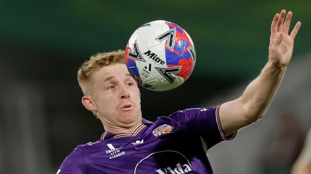 Mountain goat or lion? A-League coach's weird job pitch
