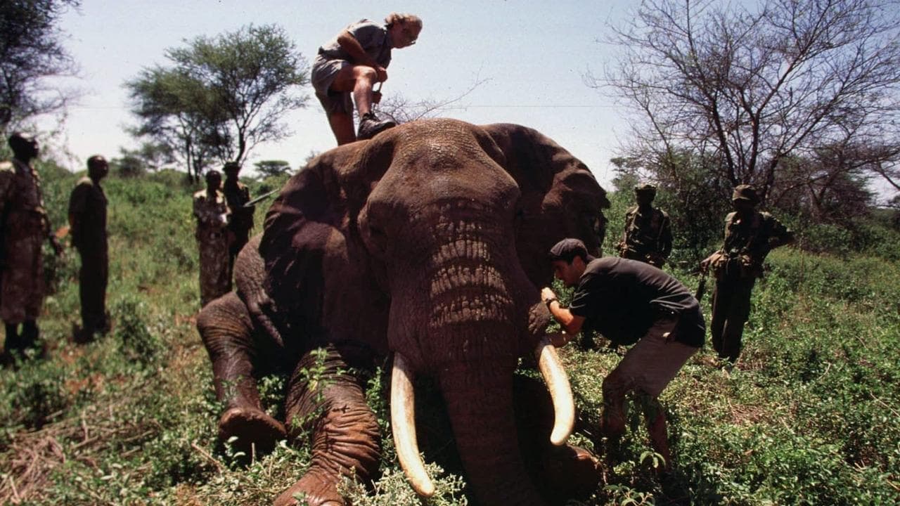 Save the Elephants founder Iain Douglas-Hamilton dies