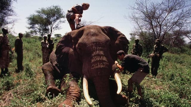 Save the Elephants founder Iain Douglas-Hamilton dies