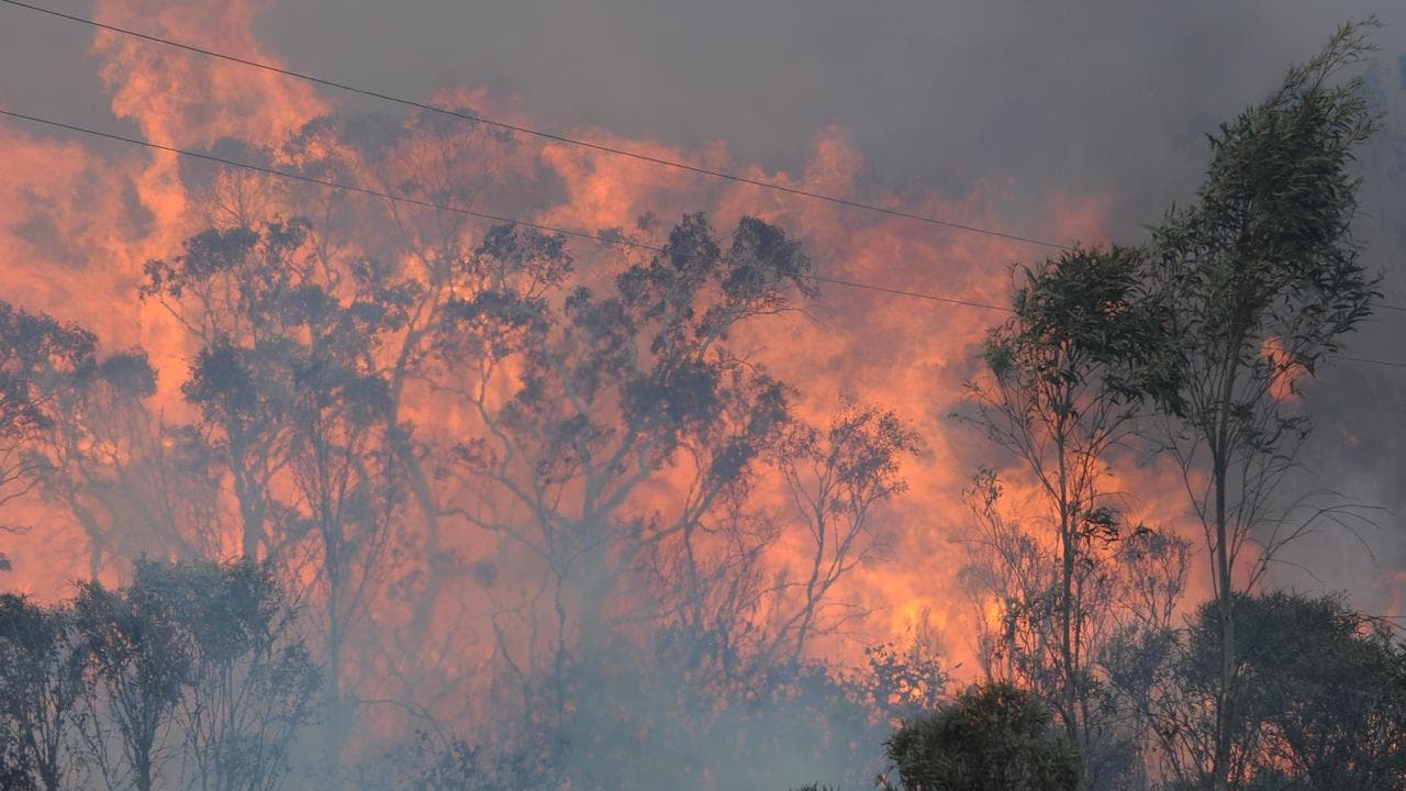 'True champion': tributes flow for firefighter killed