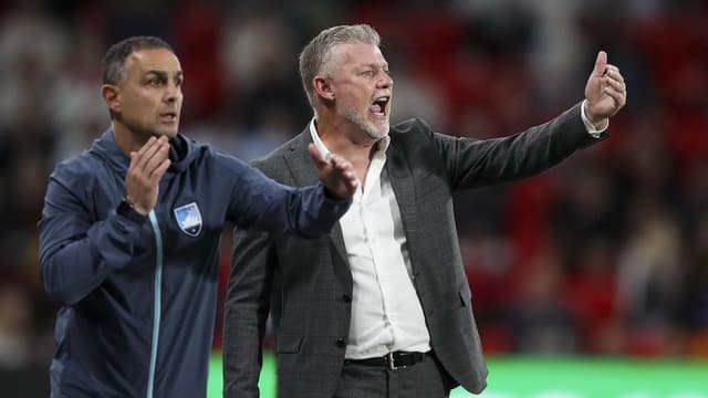 A-League assistant coach scores 'dream' La Liga gig