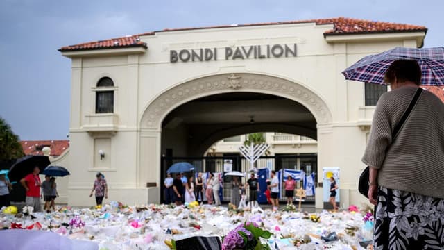 Minns won't lobby PM for national royal commission