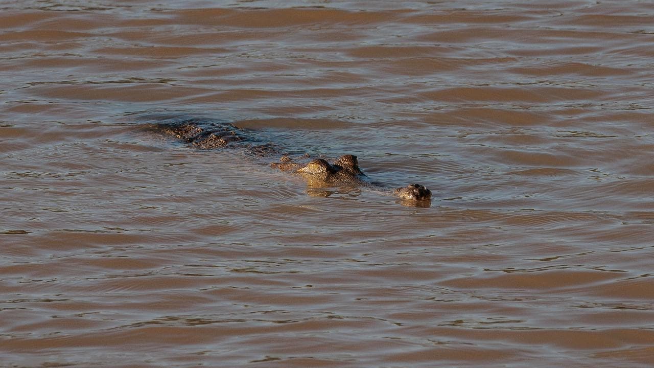 Officer hailed after braving croc-infested floodwaters