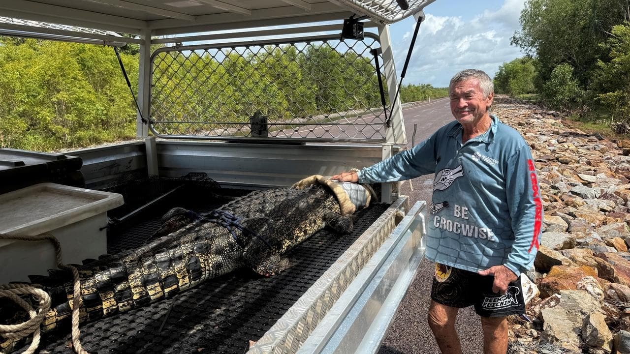 Crocodile caught in creek where children were swimming